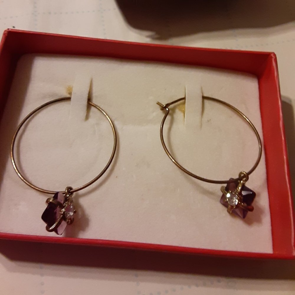 Avon Hoop Earrings Amethyst Color
